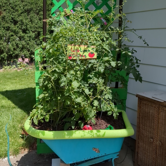 Meet the Posher! Poshing with Passion & Purpose💜 - Picture 4 of 7